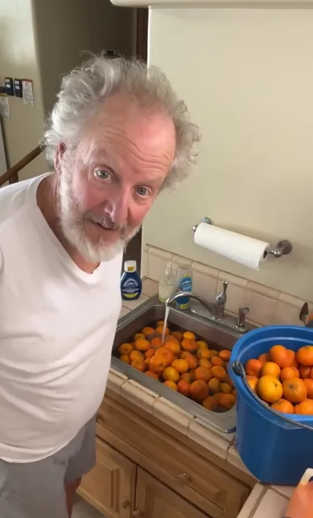 У зірки фільму "Сам удома" виникли проблеми з поліцією: за що оштрафували одного з "мокрих бандитів", який покинув Голлівуд