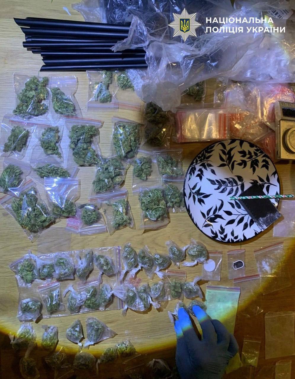 Прикрасив ялинку пакетиками із наркотиками: у Києві затримали іноземця, який розповсюджував заборонені речовини. Фото