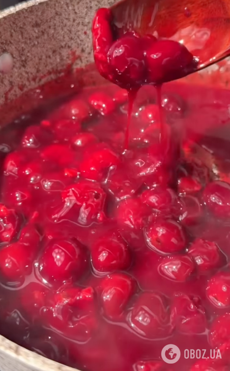 Ленивый вишневый "Наполеон" без приготовления теста: делимся простым рецептом