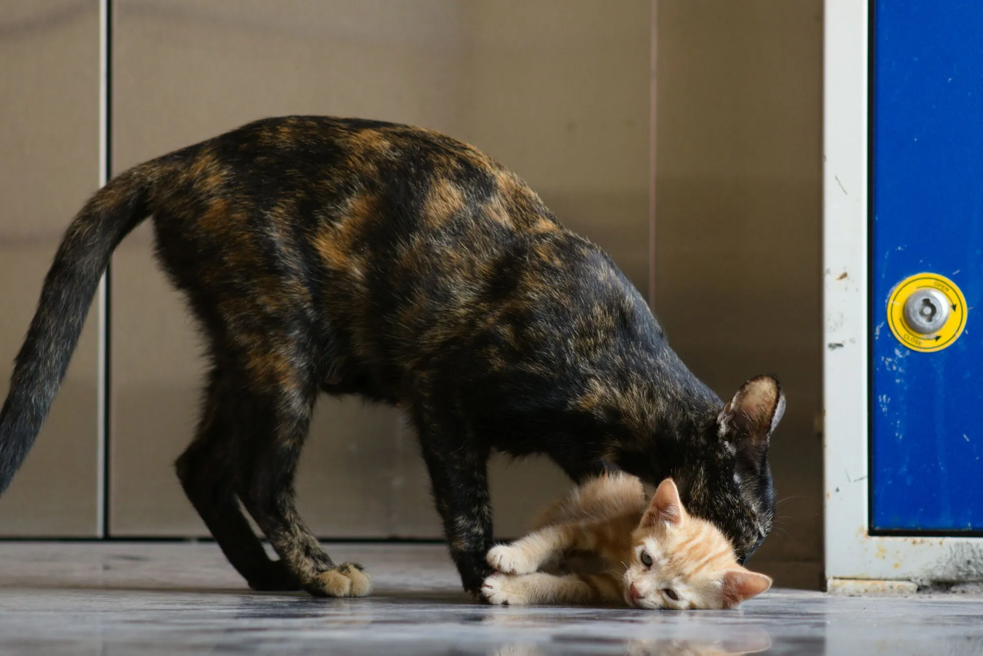 Що таке кама мута? Психологи описали нову емоцію, яку ви точно відчували