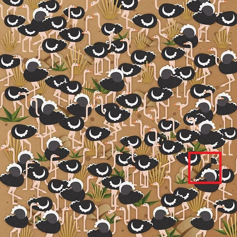 Знайдіть парасольку: головоломка на уважність