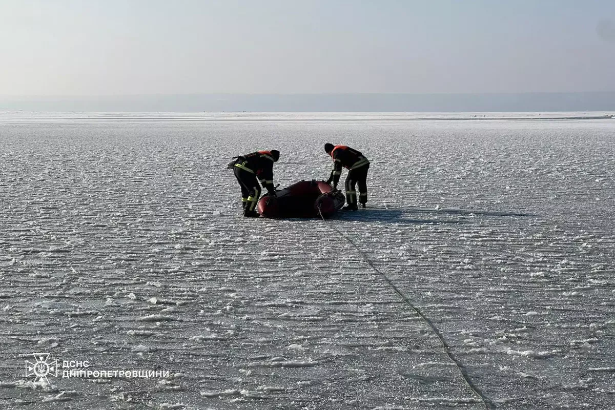 Попал в ледяную ловушку: на Днепропетровщине спасли лебедя, который примерз ко льду. Фото