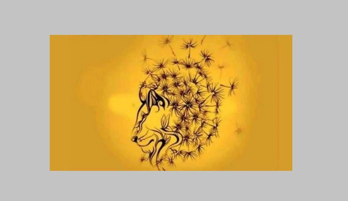 Що побачили першим? Тест розкриє найкращу частину вашої особистості