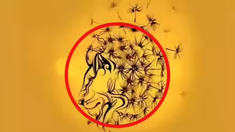 Що побачили першим? Тест розкриє найкращу частину вашої особистості