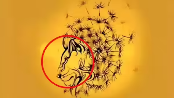 Що побачили першим? Тест розкриє найкращу частину вашої особистості