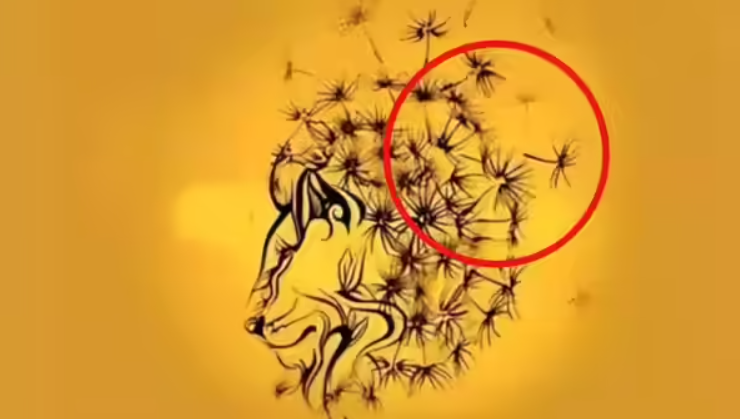 Що побачили першим? Тест розкриє найкращу частину вашої особистості