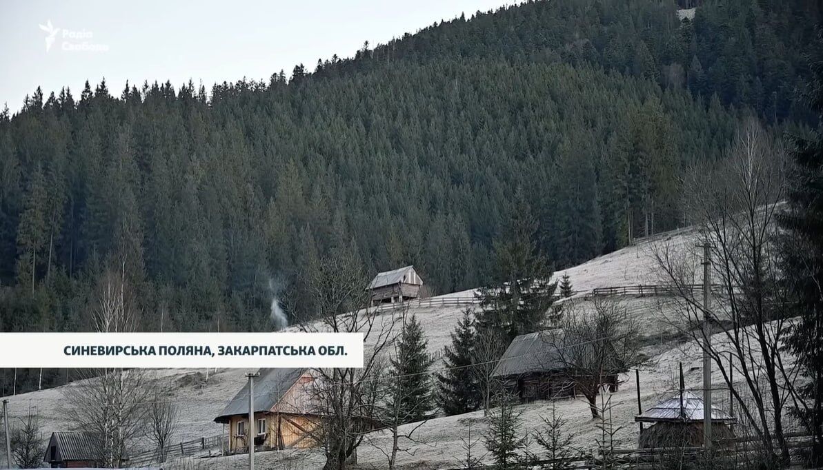 Нема дороги, бігають вовки. Мережу вразили діти в горах Закарпаття, які щодня долають по 8 км до школи. Відео