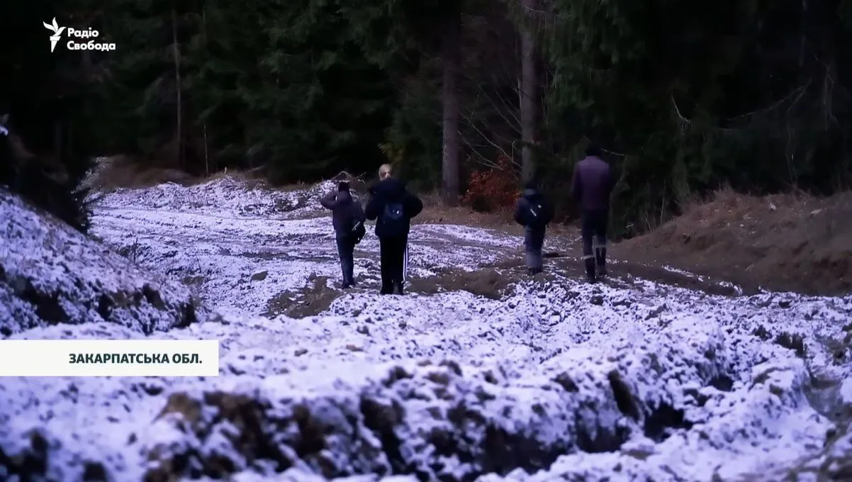 Нема дороги, бігають вовки. Мережу вразили діти в горах Закарпаття, які щодня долають по 8 км до школи. Відео
