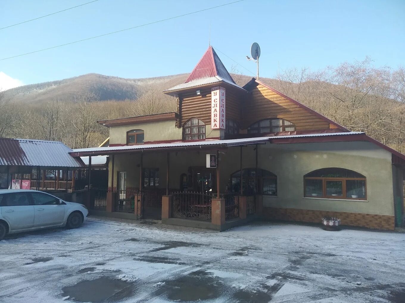 Зашивали рвані рани на нозі: на Закарпатті власник кафе нацькував на дітей собак