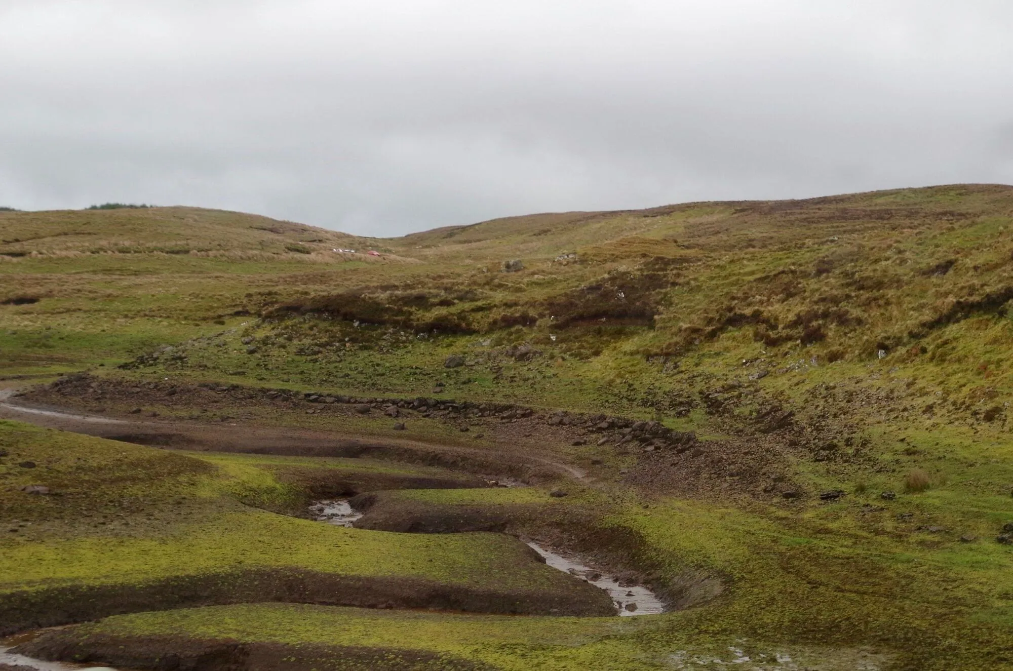 Исчезает за несколько часов: озеро в Ирландии прозвали настоящим природным чудом