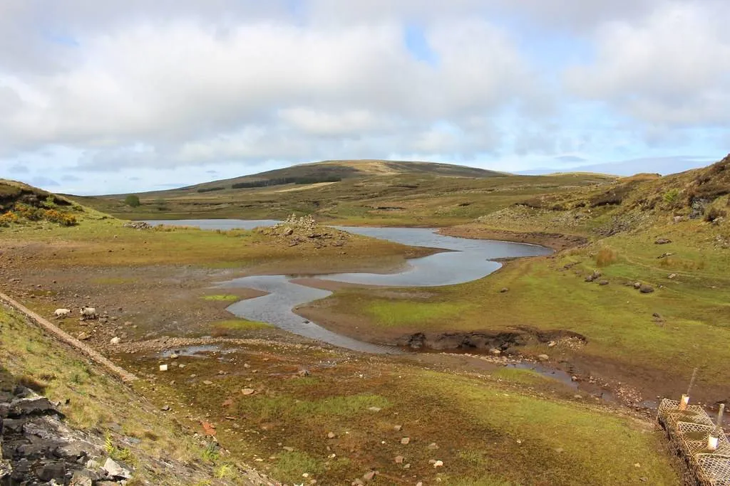 Исчезает за несколько часов: озеро в Ирландии прозвали настоящим природным чудом