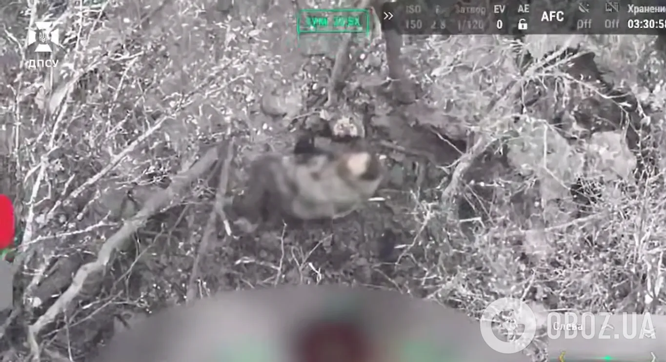 Знищено 21 окупанта: прикордонники зірвали ворожу спробу прориву кордону на Харківщині. Відео