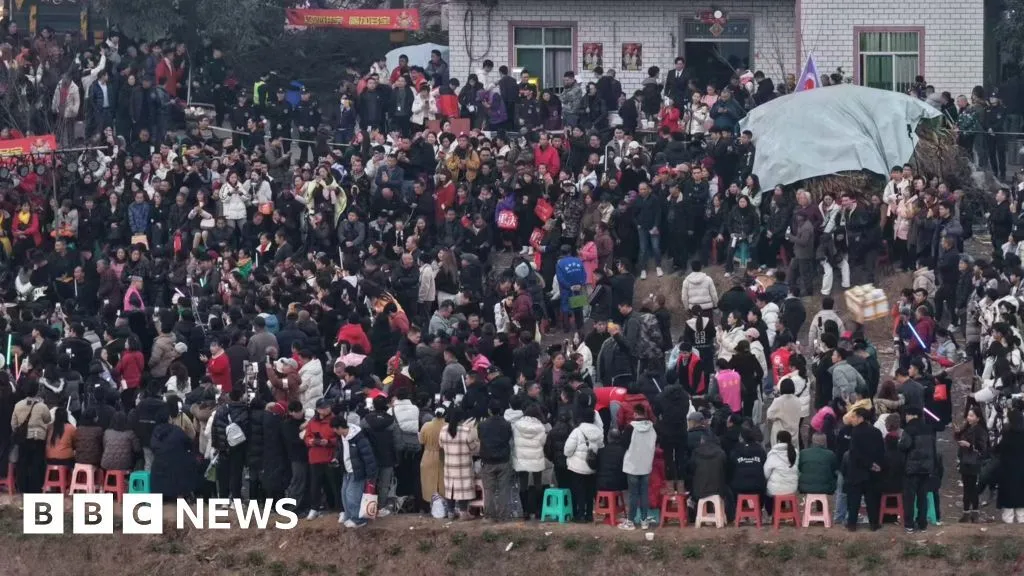 Китаянка попросила у соцмережі допомогти із забоєм свиней: до чого це призвело в масштабах регіону. Фото