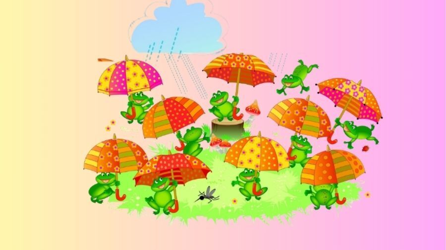 Найдите два одинаковых зонтика: головоломка