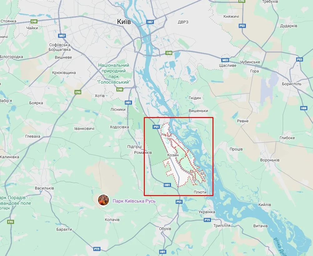 Під Києвом водій BMW збив на смерть жінку. Подробиці ДТП та фото