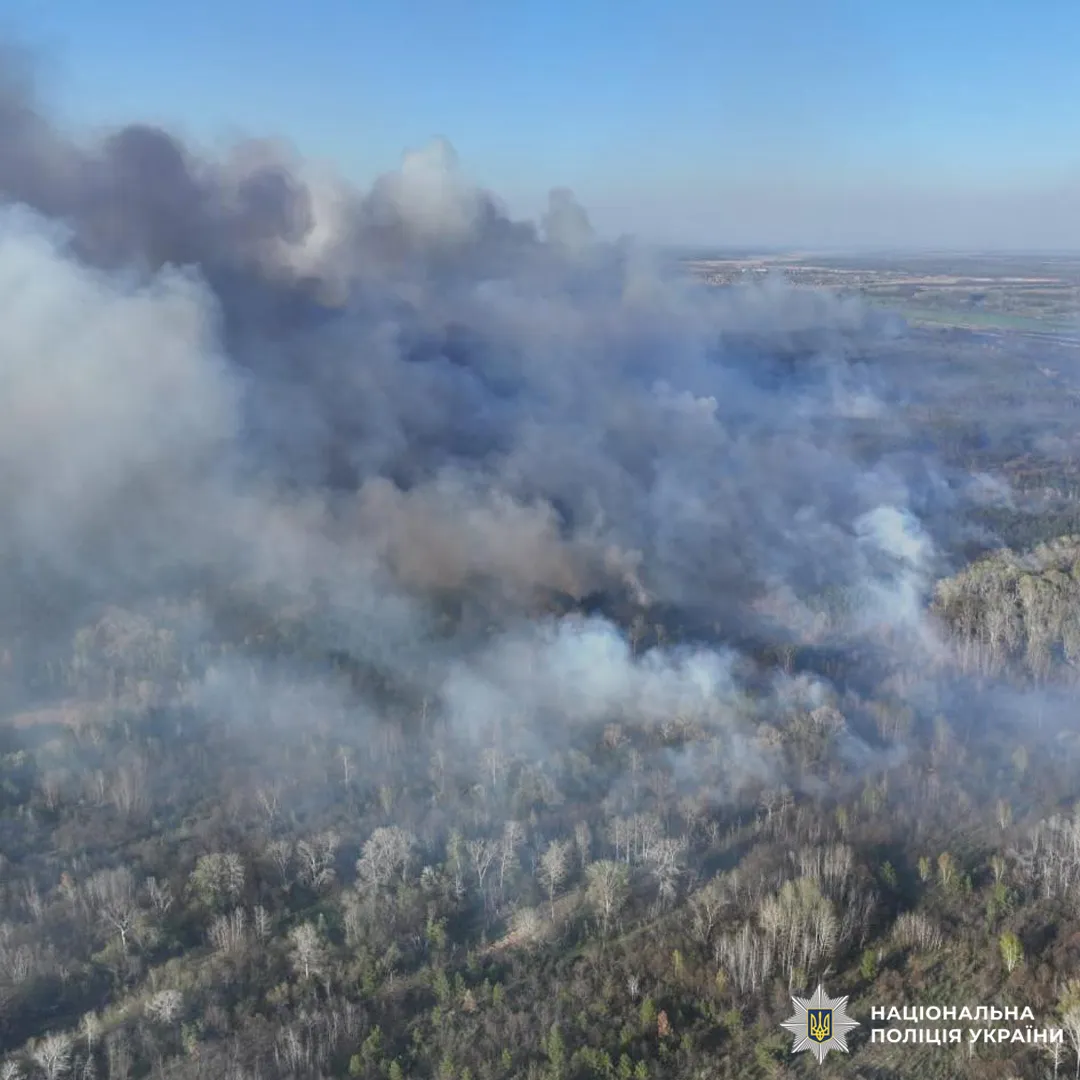 10 лет тюрьмы за выброшенный окурок: жителю Харьковщины объявили подозрение в резонансном деле. Фото