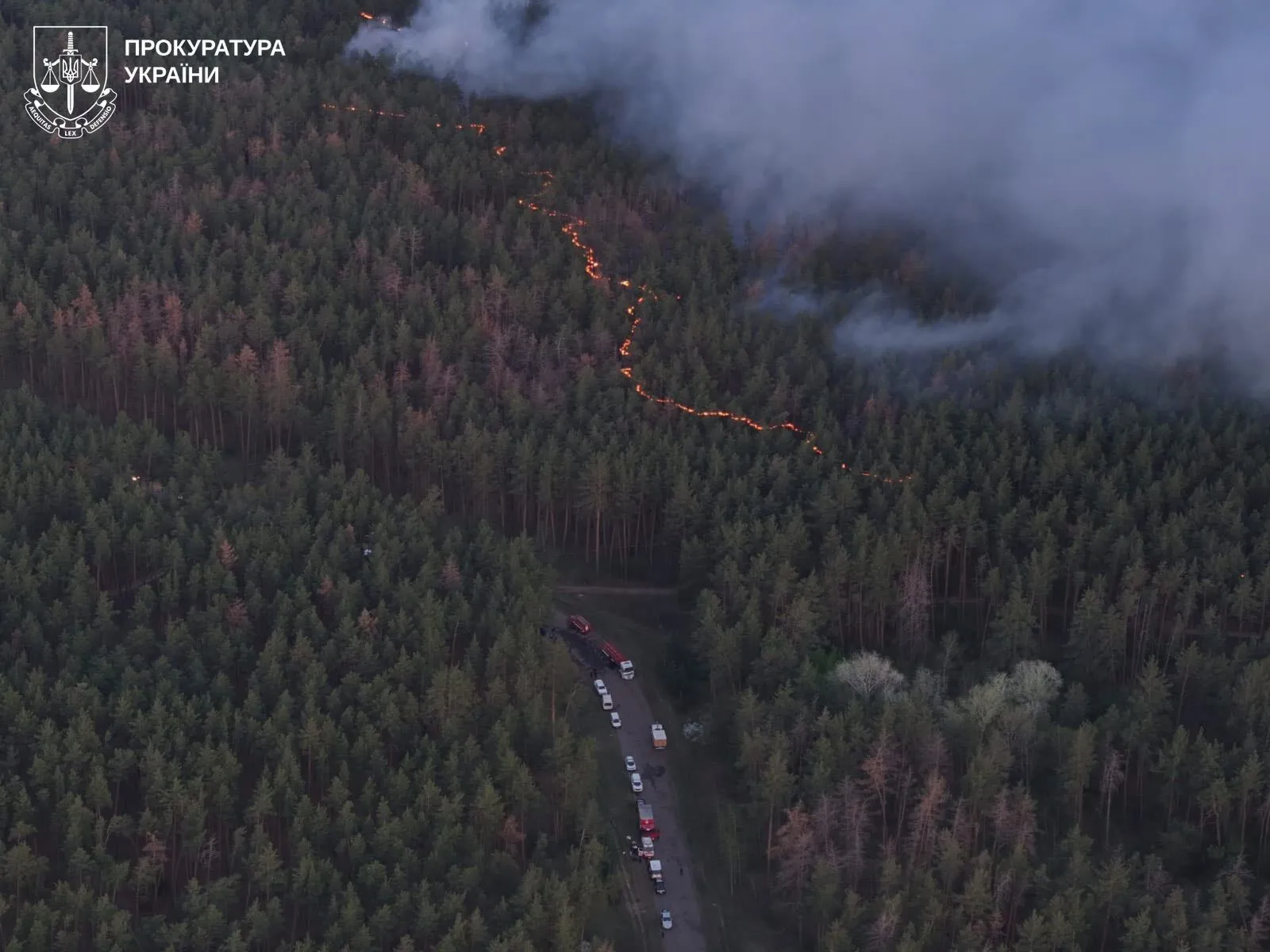 10 лет тюрьмы за выброшенный окурок: жителю Харьковщины объявили подозрение в резонансном деле. Фото