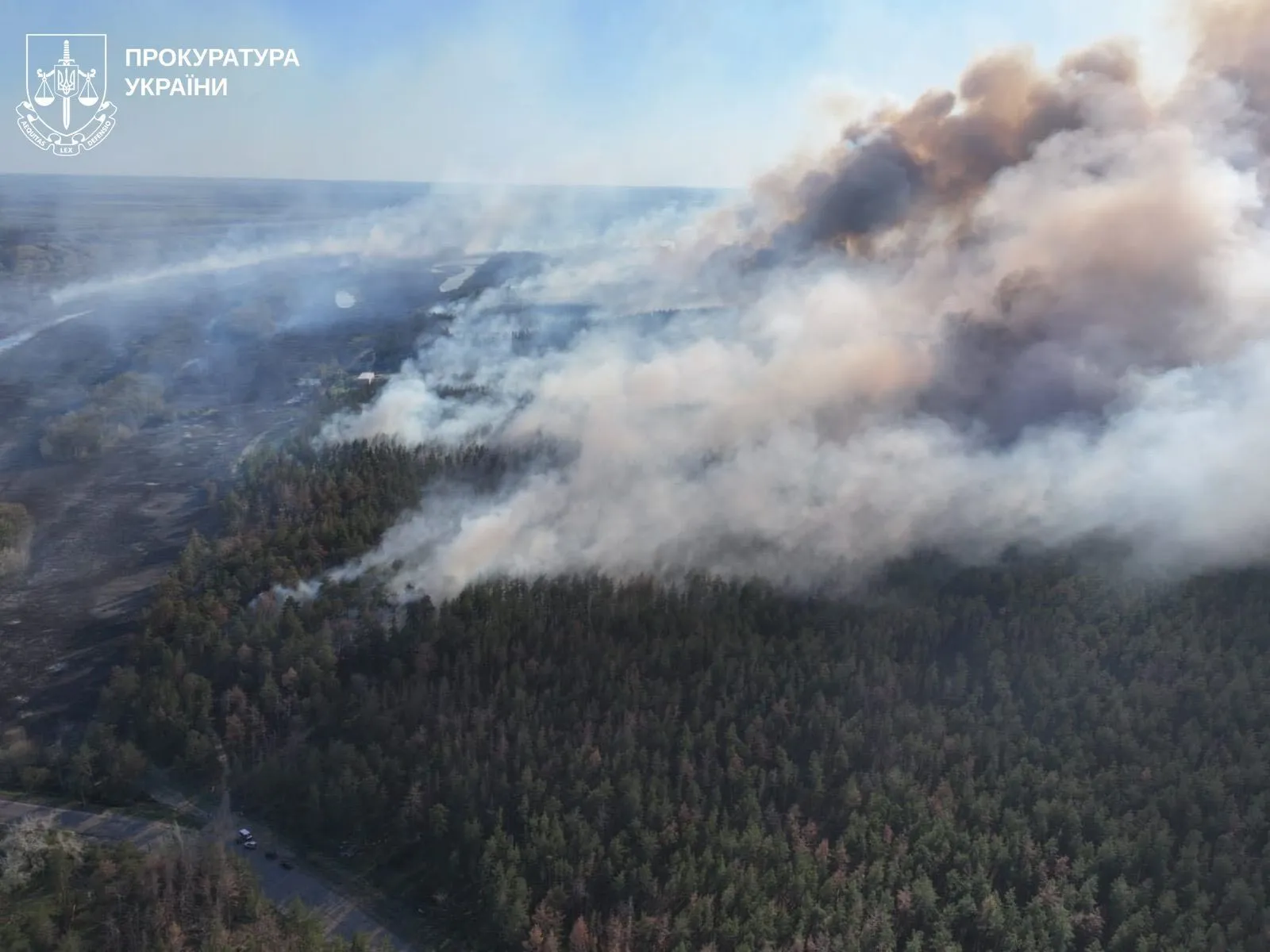 10 лет тюрьмы за выброшенный окурок: жителю Харьковщины объявили подозрение в резонансном деле. Фото