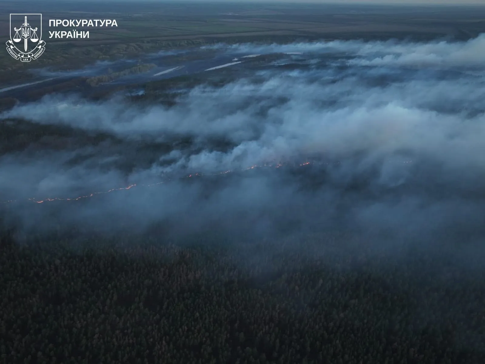 10 лет тюрьмы за выброшенный окурок: жителю Харьковщины объявили подозрение в резонансном деле. Фото