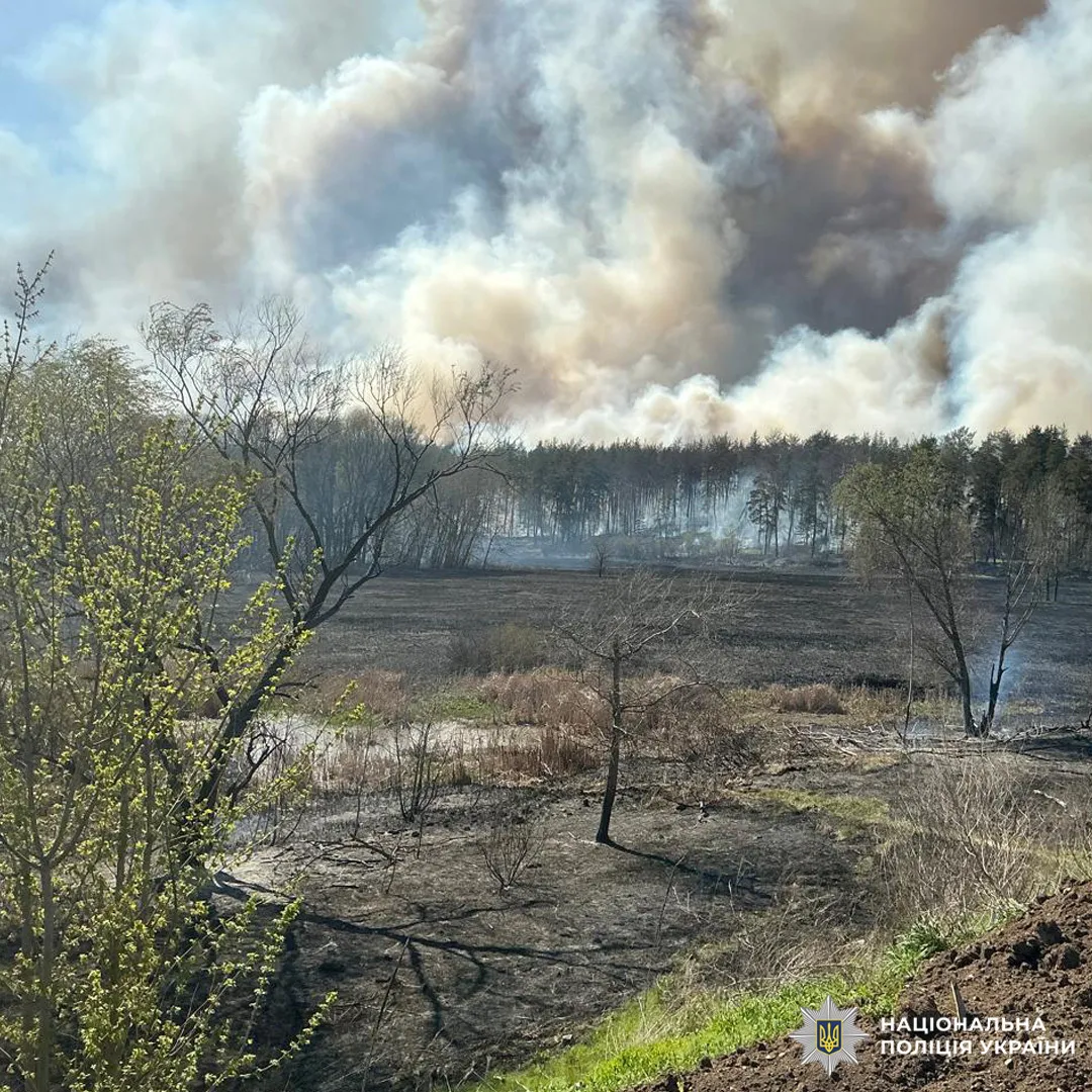 10 лет тюрьмы за выброшенный окурок: жителю Харьковщины объявили подозрение в резонансном деле. Фото