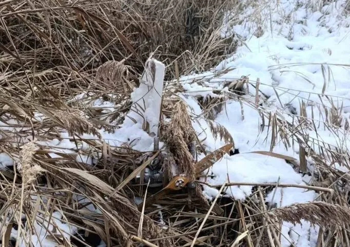 На місце викликали спецслужби: у Молдові на березі озера знайшли російський безпілотник. Фото