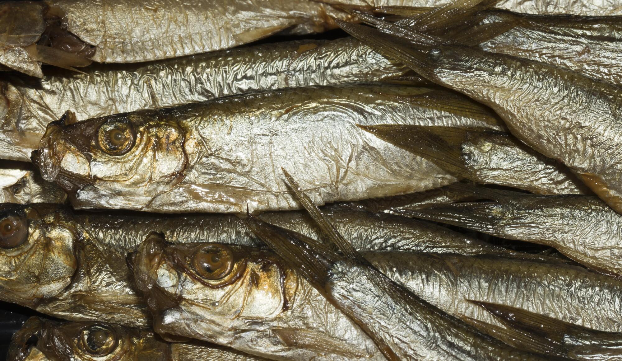 Какие шпроты самые полезные и как выбрать качественные: Грубич раскрывает секреты о деликатесе