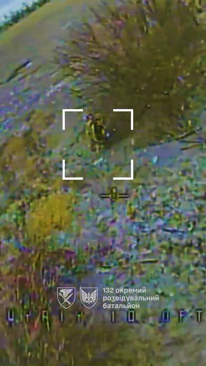 У ДШВ показали, як проводять зачистку на Покровському напрямку: близько 900 м за добу