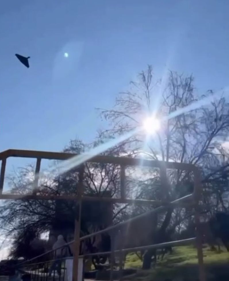 БМ-35 Одесса