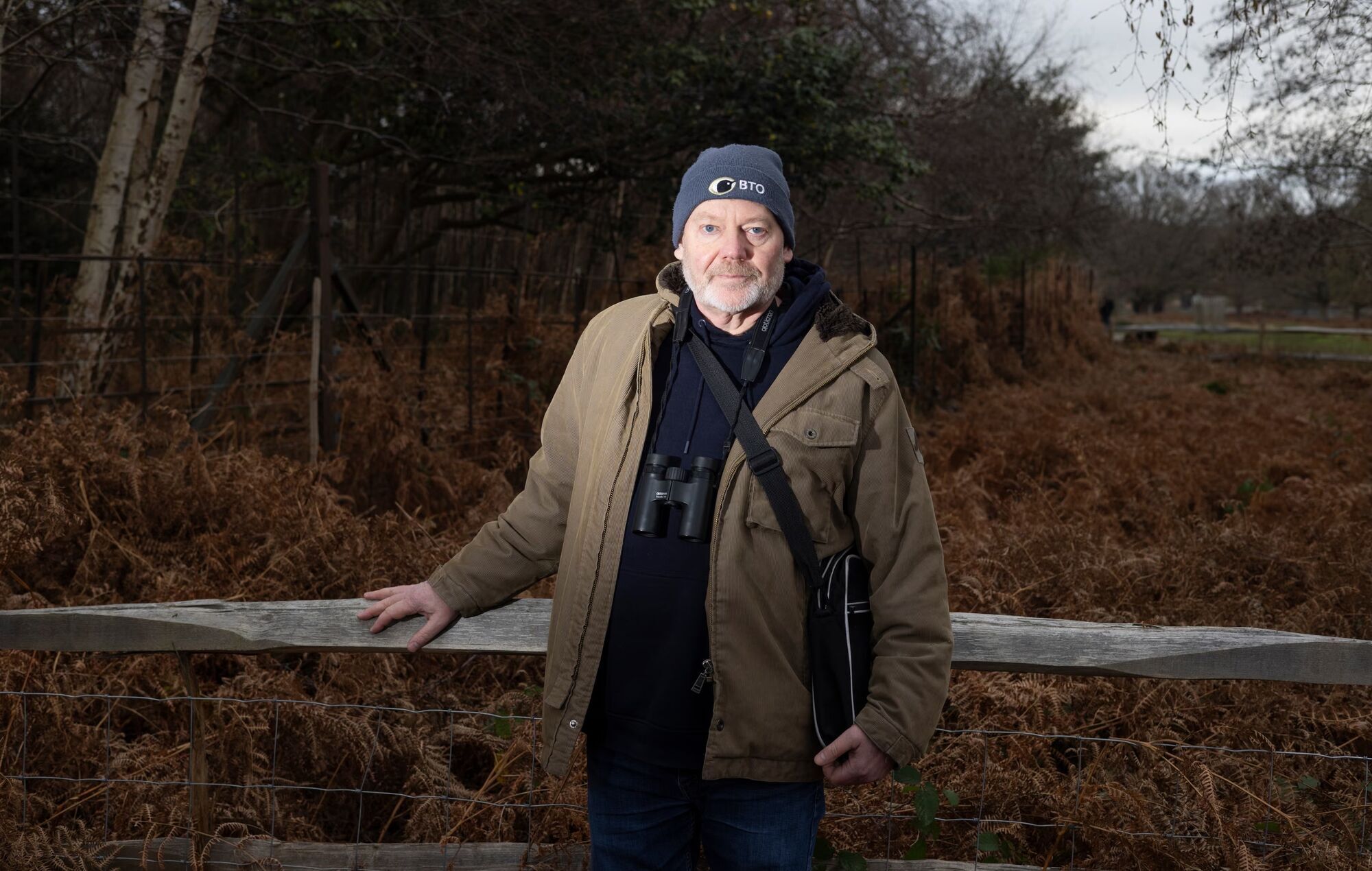 Екзотичні папуги заполонили парки у Великій Британії: у чому загроза для місцевих птахів