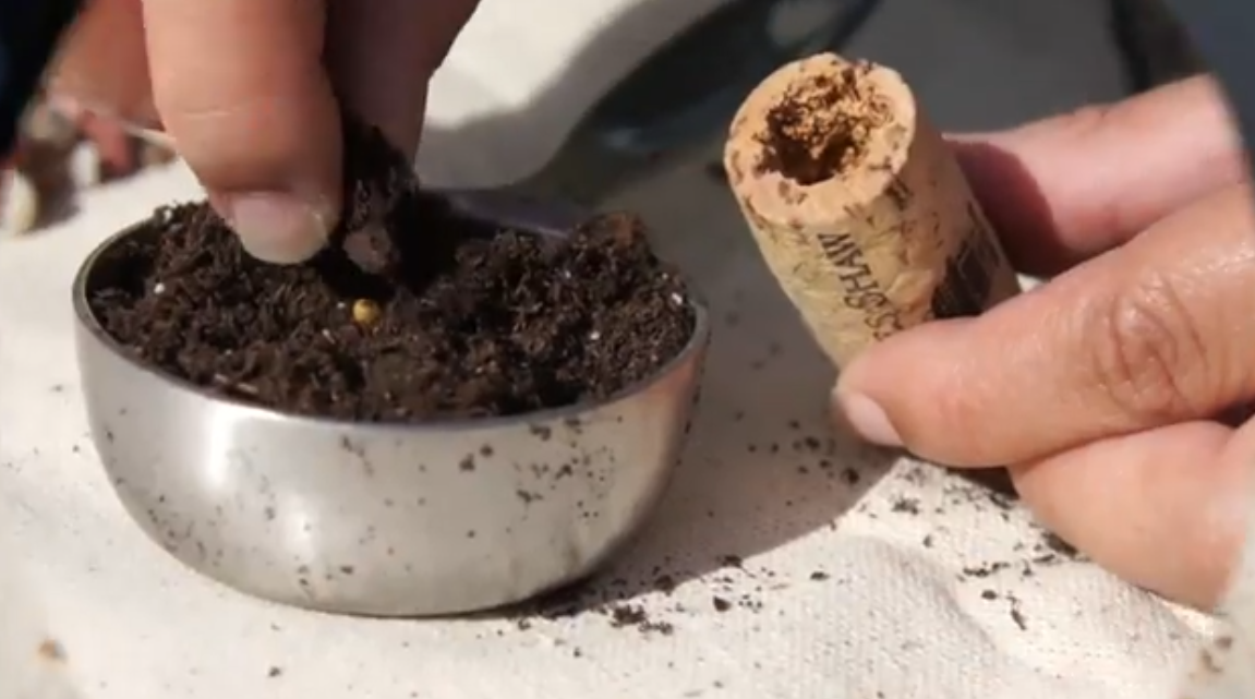 Як зробити дренаж для горщиків із квітами: дешевий спосіб