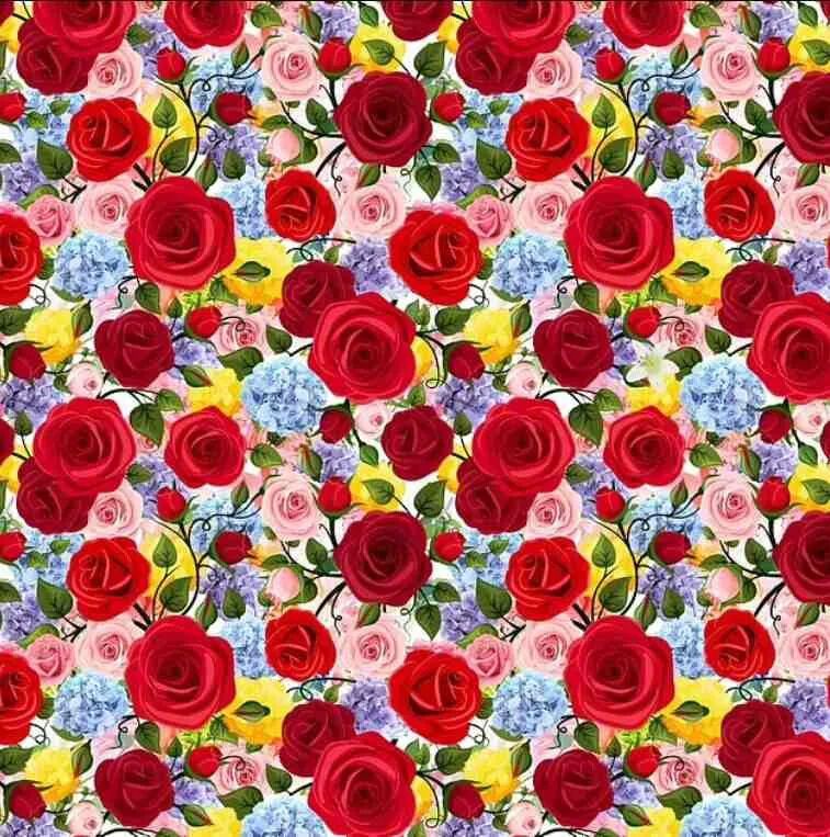 Знайдіть лілію серед троянд: головоломка