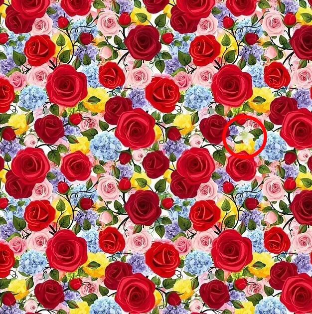 Знайдіть лілію серед троянд: головоломка