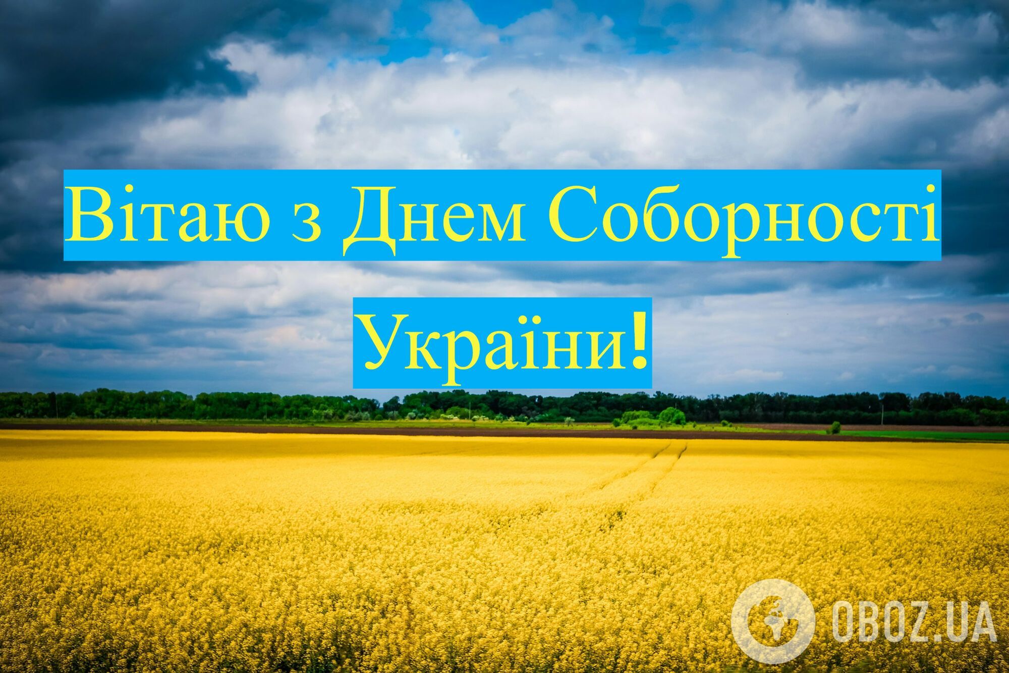 С Днем Соборности Украины: красивые поздравления
