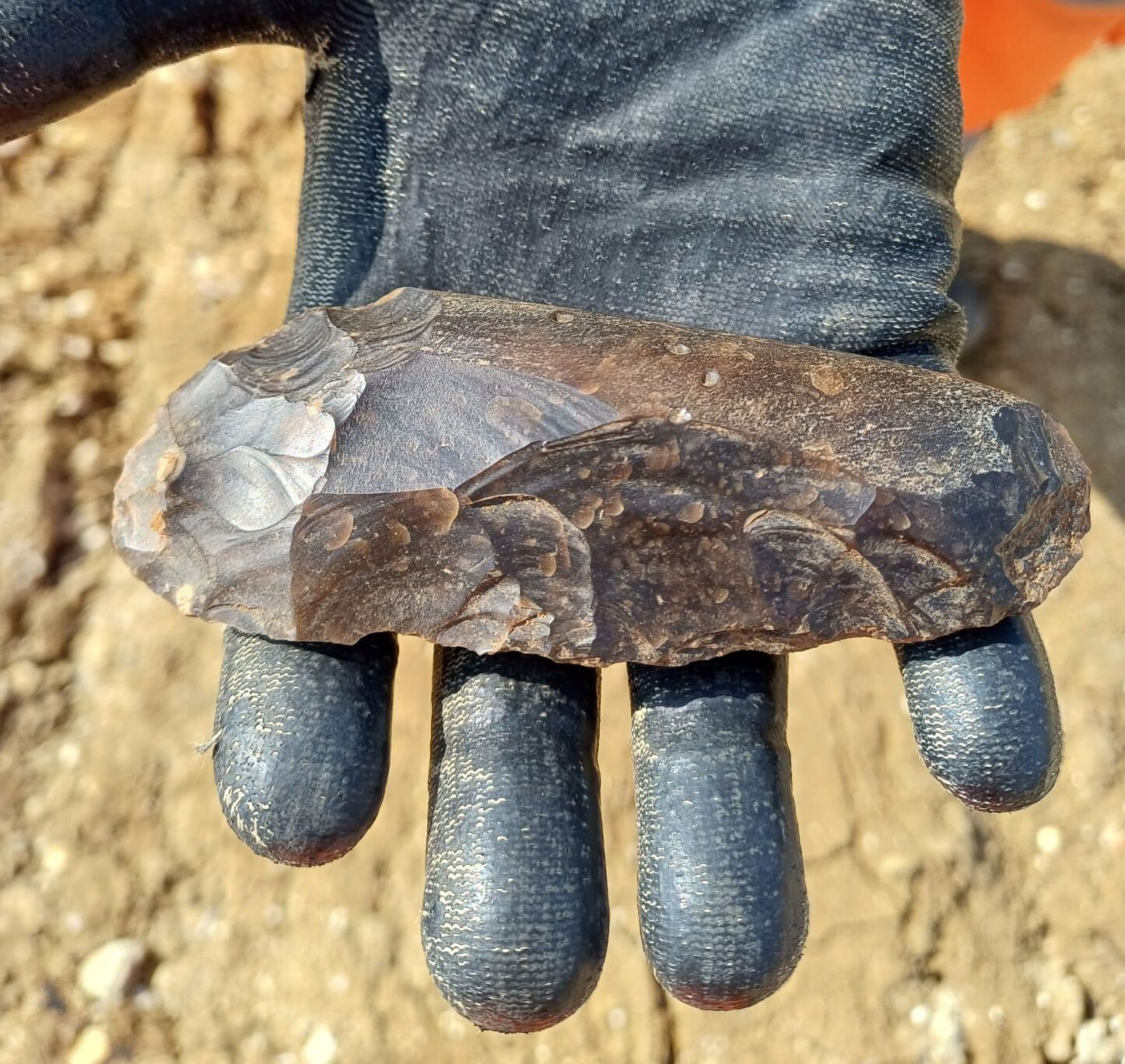 В Англії знайшли рідкісний артефакт перед будівництвом АЕС. Фото