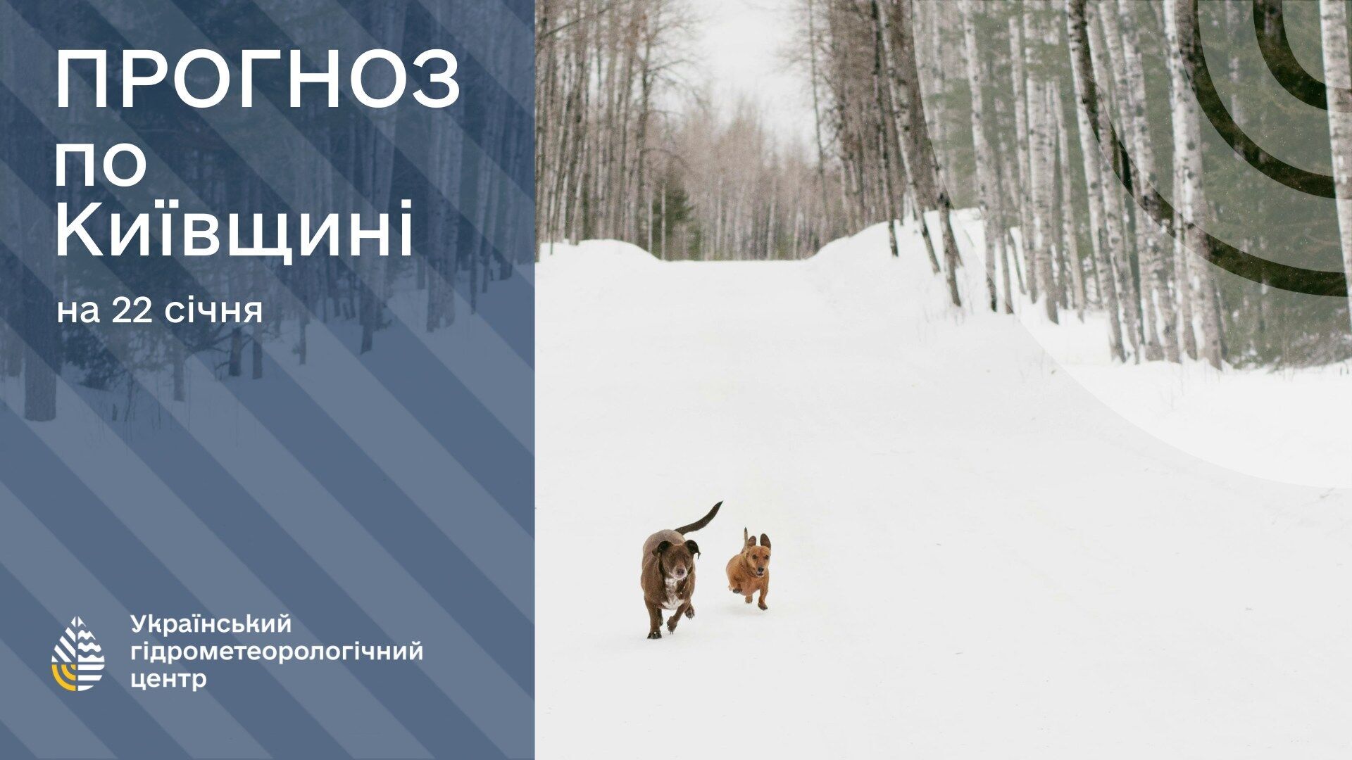 Погода в Киеве и области