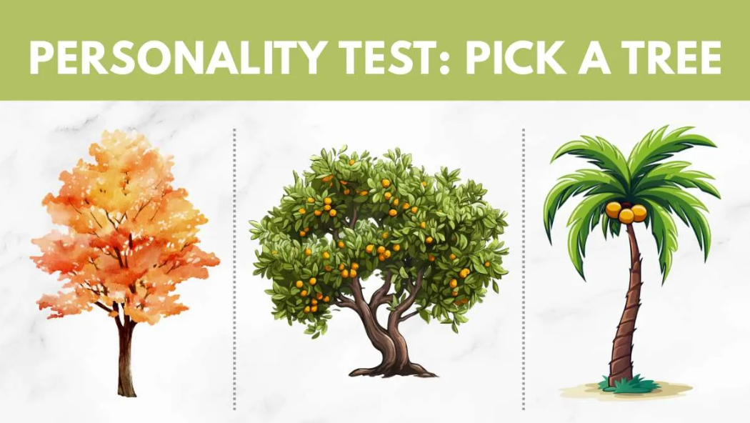 Яке дерево оберете? Простий тест покаже ваш прихований талант