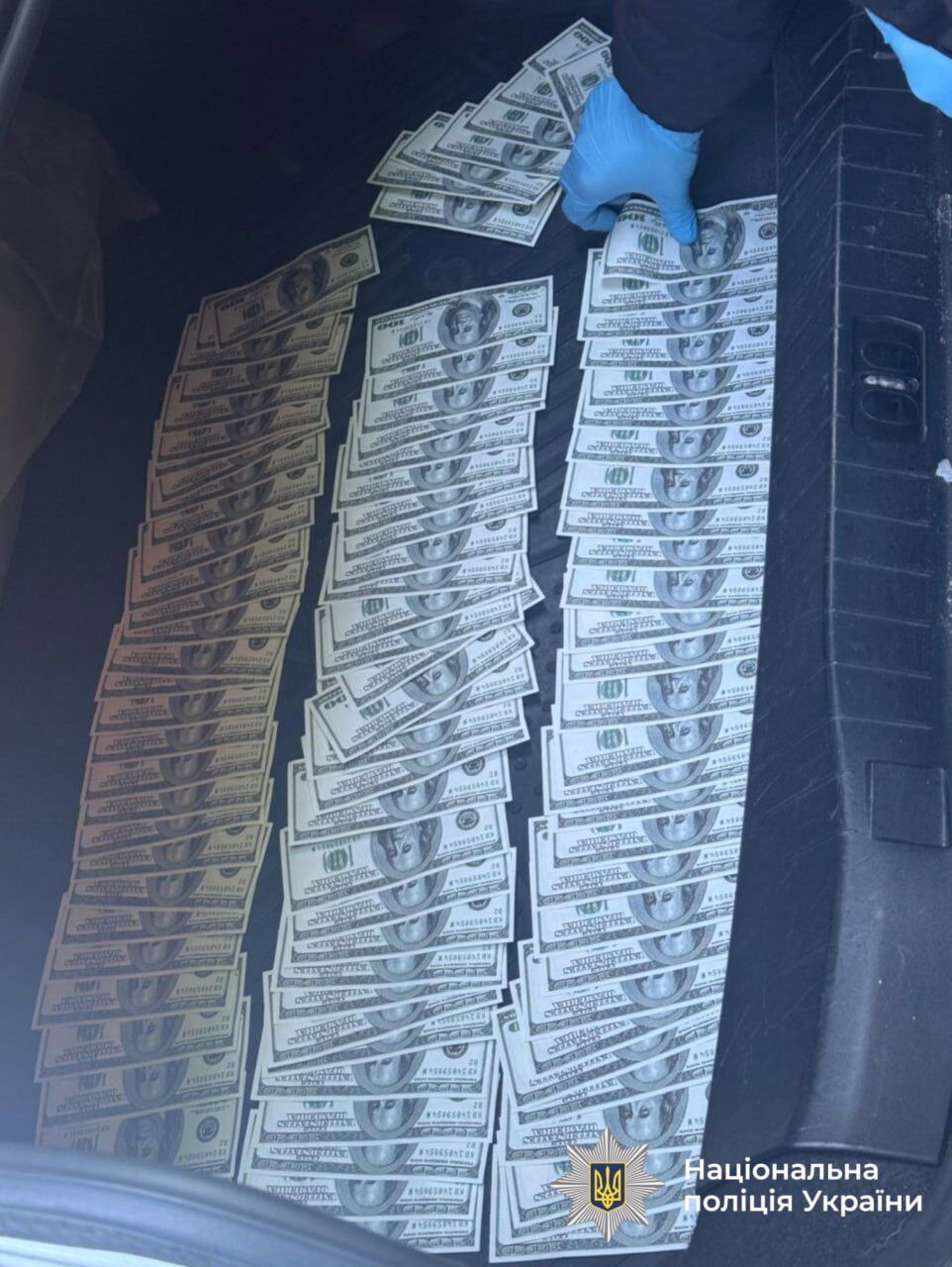 Обещала за деньги сделать группу инвалидности: на Волыни задержали представительницу общественной организации. Фото