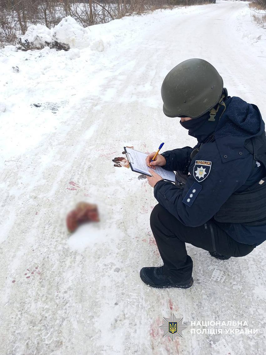 На Черниговщине оккупанты атаковали агропредприятие, четверо раненых. Фото