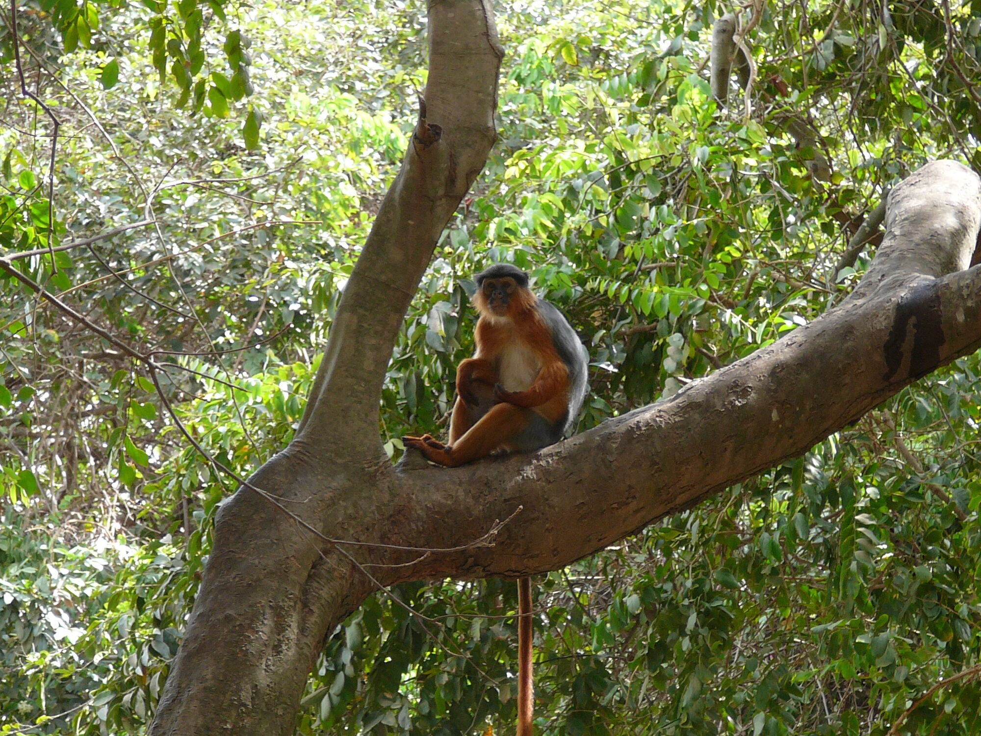 Спекотний острів, що вартий уваги: чим приваблює туристів Занзібар