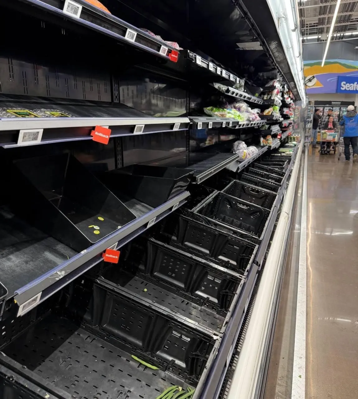 В США объявили ЧС из-за шторма века: по стране масштабные блэкауты, отменены тысячи авиарейсов. Видео