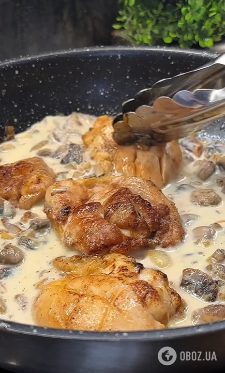 Нежная курица в грибном соусе: какую часть выбрать, чтобы мясо не было сухим