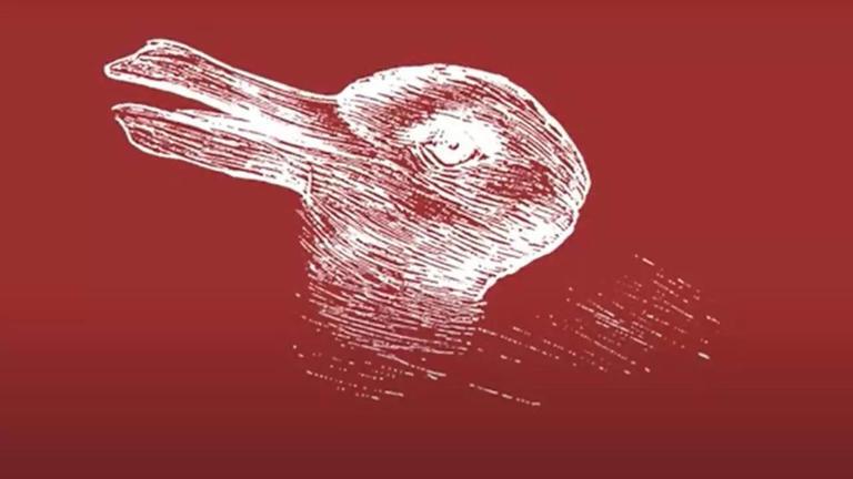 Утка или кролик? Быстрый тест раскроет вашу личность