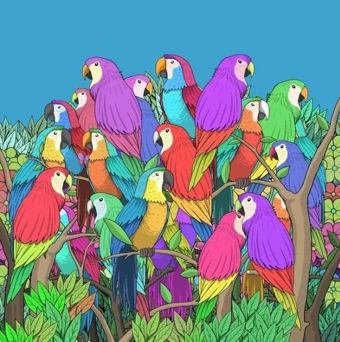 Найдите бабочку за 15 секунд: интересная головоломка