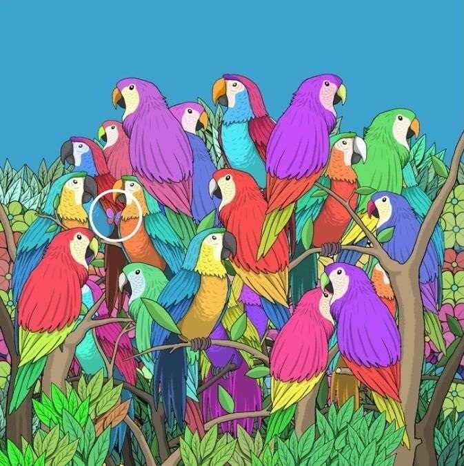 Найдите бабочку за 15 секунд: интересная головоломка