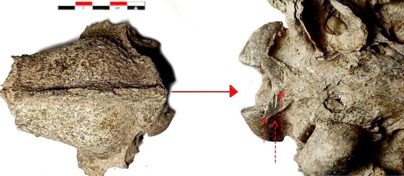 Археологи зробили моторошне відкриття у Болгарії. Фото
