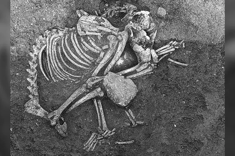Археологи зробили моторошне відкриття у Болгарії. Фото
