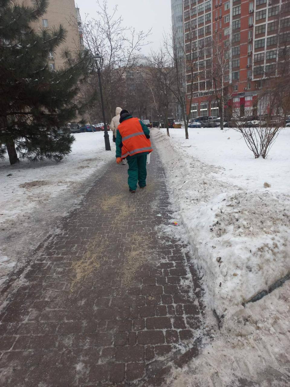 Задіяно понад 200 одиниць спецтехніки: у КМДА розповіли, як у Києві борються із ожеледицею. Фото та відео