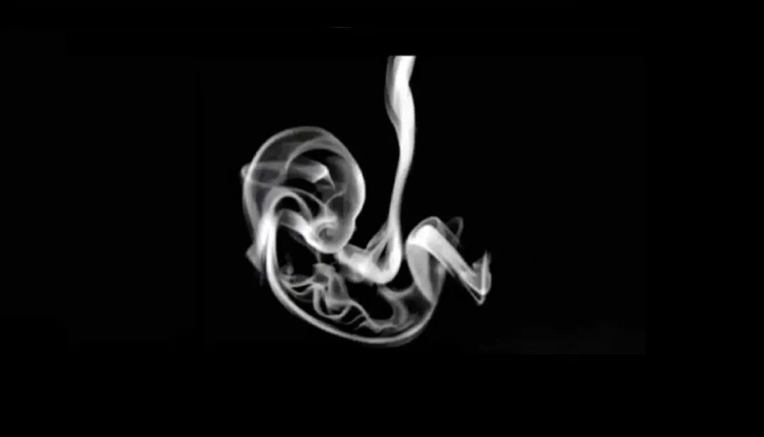 Що ви побачили першим? Тест розкриє правду про ваші емоції