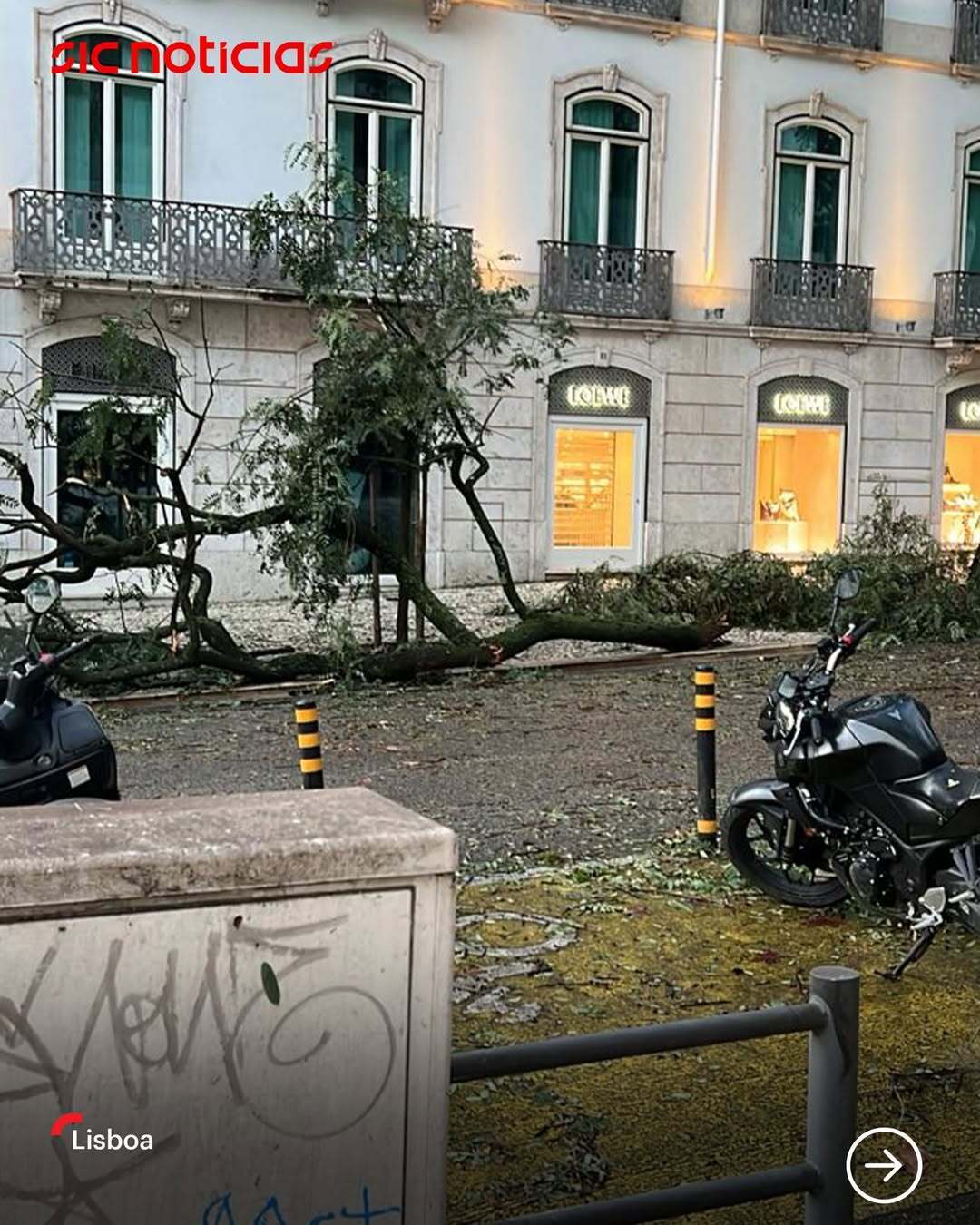 Без света были сотни тысяч людей: в Португалии пронесся мощный ураган, есть последствия. Фото и видео