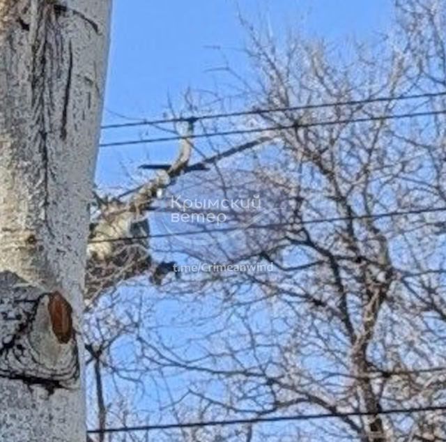 Под прицелом мог быть морской порт: в оккупированной Феодосии слышали взрывы, поднялся дым